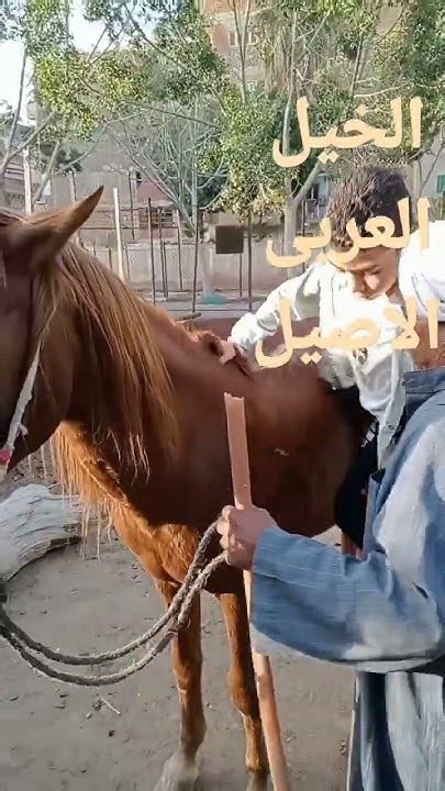 قضينا يوم كامل فى حديقه الحيوانات وركوب الخيل Youtube