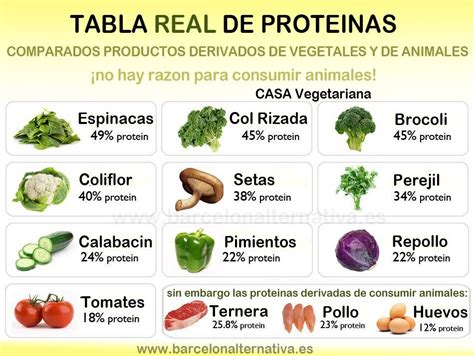 Tabla De Proteínas Vegetales Según John Robbins Alimentos Que