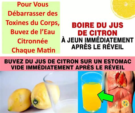 Boire de lEau Citronnée le Matin 11 Bienfaits sur la Santé et le