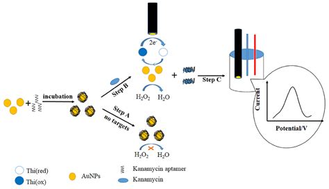 Chemosensors Free Full Text Contribution Of Nanomaterials To The