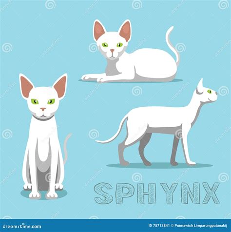 Cat Sphynx Cat Cartoon Vector Illustration Stock Vector Illustration