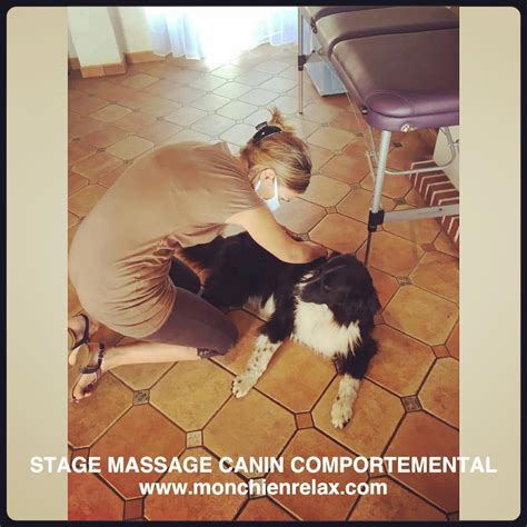 Initiation Au Massage Canin Comportemental France