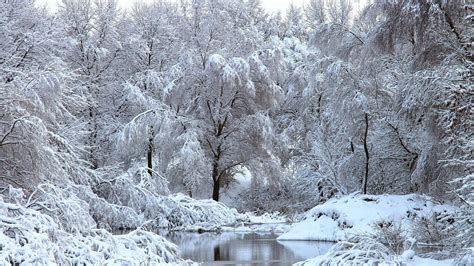 Snowy Winter Scenes Wallpaper (44+ images)