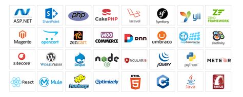 The Top Web Development Frameworks