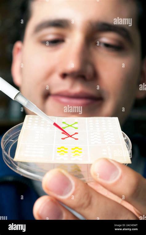 Paper Lab On A Chip Researcher Dropping Coloured Solution On To A