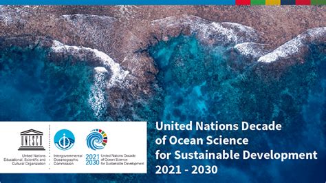 United Nations Kicks Off Decade Of The Oceans Baleines En Direct