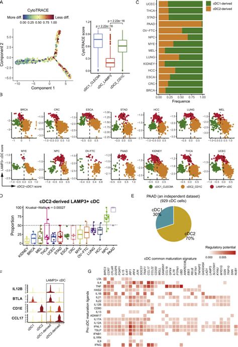 A Pan Cancer Single Cell Transcriptional Atlas Of Tumor Infiltrating