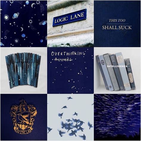 Ravenclaw House | Ravenclaw aesthetic, Ravenclaw, Hogwarts