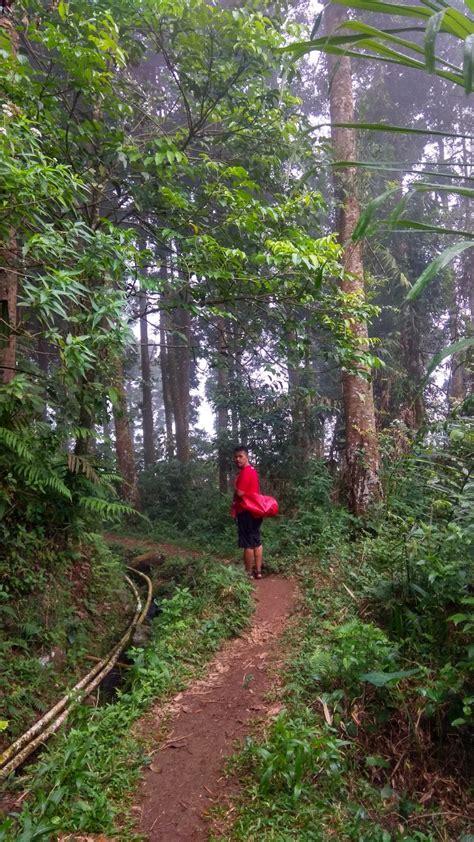 Wisata Indonesia Curug Citaman Curug Tersembunyi Di Kaki Gunung Salak