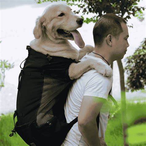 Sac Dos Pour Chien R Sistant Et Confortable