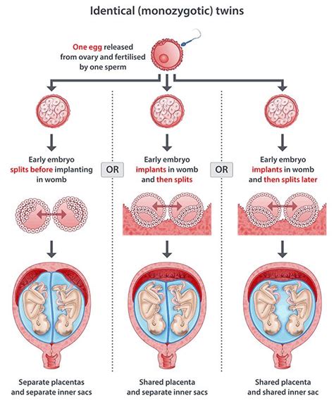 Spiritual Meaning Of A Baby Born With Amniotic Sac