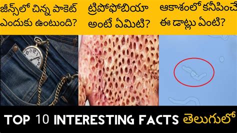 Top 10 Interesting Facts In Telugu Amazing Facts Episode 1 Entiretelugu Et Trypofobia