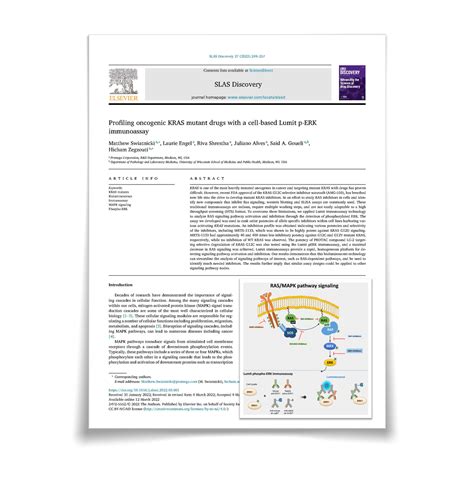 RAS Oncogene | RAS Pathway Drug Discovery | RAS Pathway Analysis