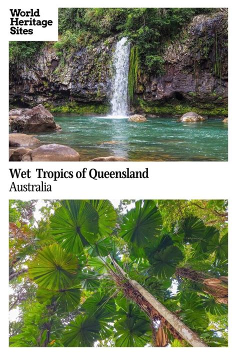 Wet Tropics Of Queensland World Heritage Sites