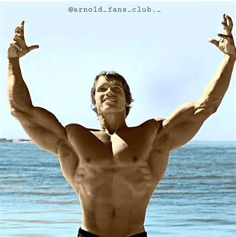 Arnold Schwarzenegger Vs Lou Ferrigno Arnold Schwarzeneggers