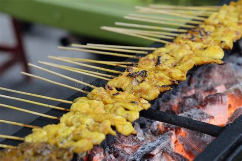 Bbq Chicken Satay On Grill Stock Photo Image Of Cookout