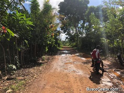 Vendo Excelente Finca De Tareas En El De Yamas En Rep Blica