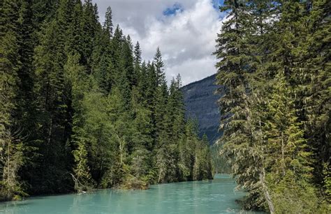 Los 10 Mejores Senderos Y Rutas Para Hacer Senderismo En Mount Robson