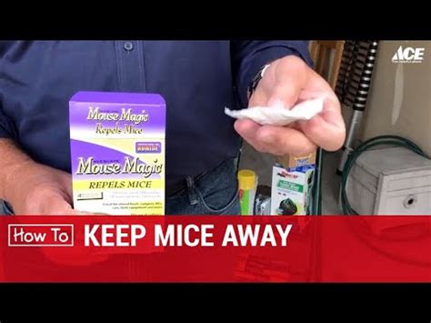 How To Keep Mice Away Ace Hardware Youtube