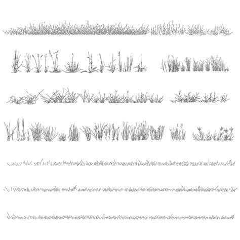 Grass DWG CAD Blocks in Elevation – Cadnature