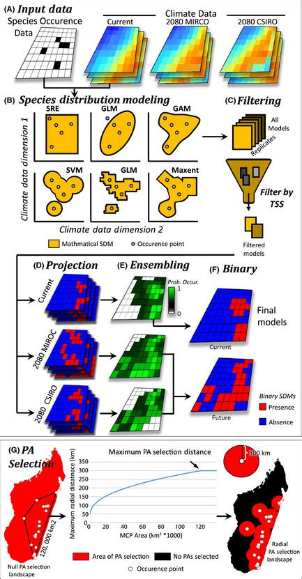 Overview Of Species Distribution Modeling Here Employed A Species