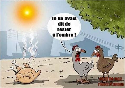 R Sultat De Recherche D Images Pour Canicule Humour Humour Images