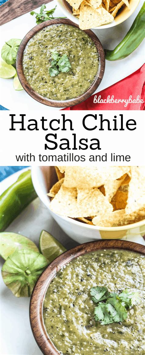 Hatch Chile Salsa Verde Amazing Hatch Chile Recipe