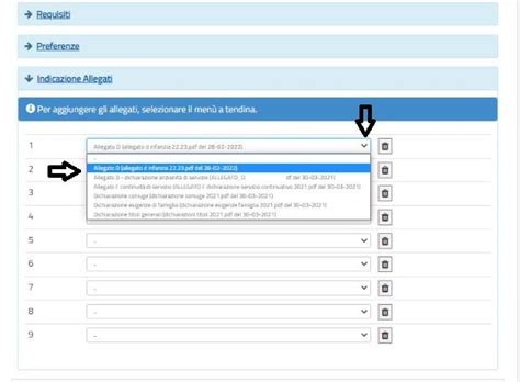 Mobilit Come Compilare La Domanda Sezione Per Sezione Guida