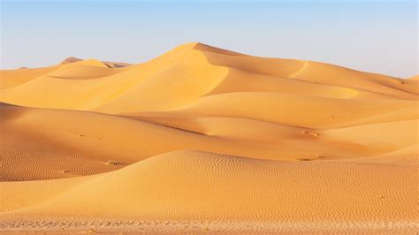 Saudi Arabia: The amazing images of the desert in bloom