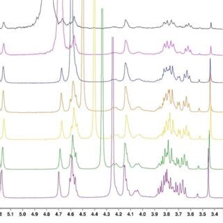 H Nmr Agarose Gel In Ethanol Evolution During Temperature Increase