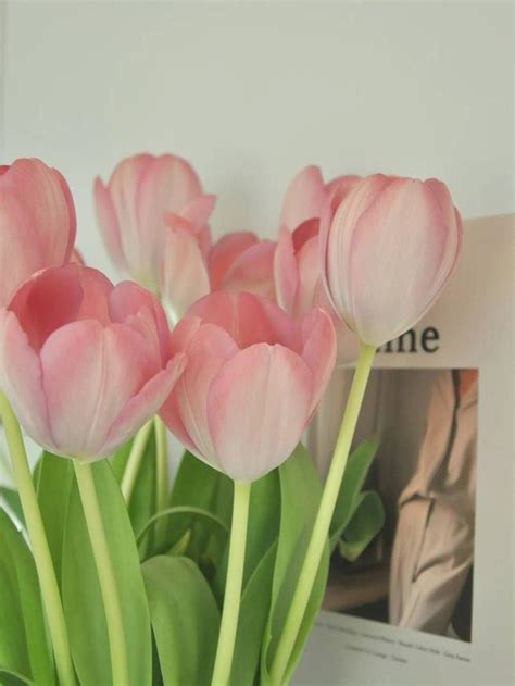 Pink And White Flowers Pink Tulips Tulips Flowers Pink And Green