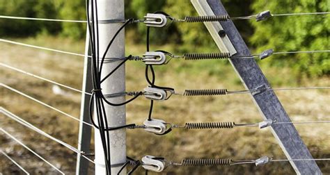 How To Install Electric Fence The Most Detailed Guide You Will Read