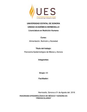 Actividad Resumen Universidad Estatal De Sonora Licenciatura En