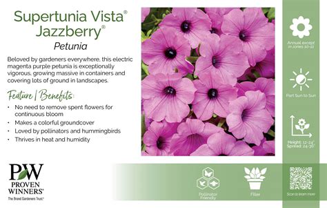 Petunia Supertunia Vista Jazzberry X Variety Benchcard Proven