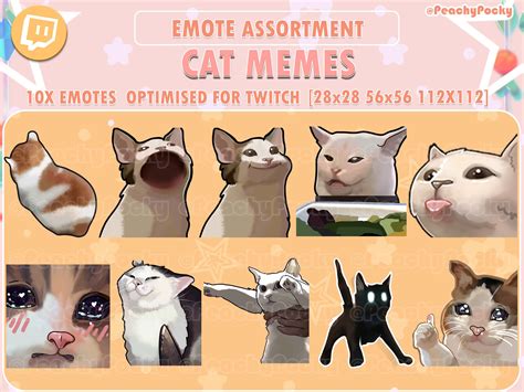 Animated Cat Emote Meme Twitch Emotes Animated For Discord And | The ...