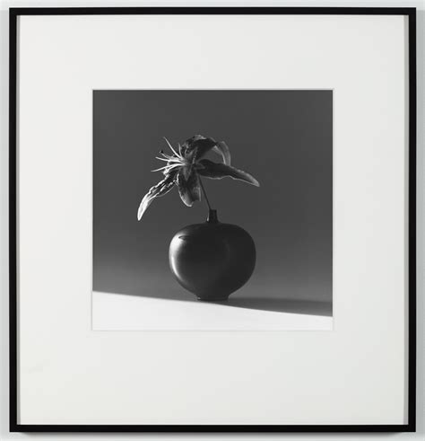 Robert Mapplethorpe Flower 1985 Gladstone Gallery