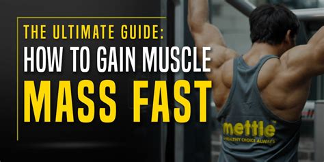 The Ultimate Guide How To Gain Muscle Mass Fast Getmymettle