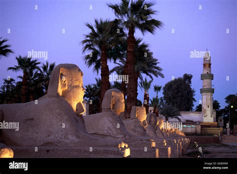 Sphinx Avenue At Luxor Temple Luxor Egypt Stock Photo Alamy