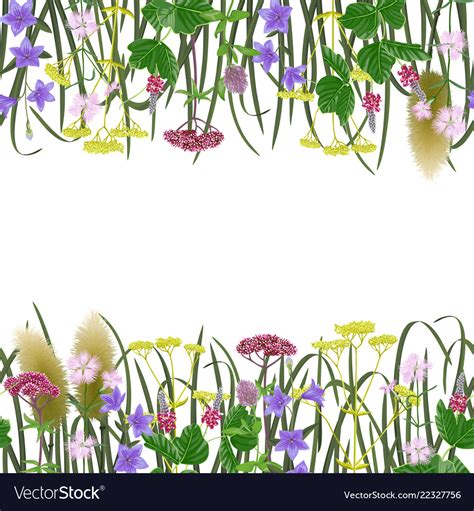 Seamless Border With Seven Herbs Royalty Free Vector Image