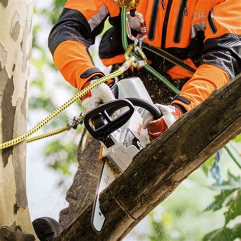 Stihl Msa 161 T Arborist Cordless Chainsaw Geelong Mowers