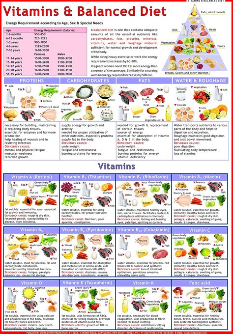 Vitamin Foods Reference Chart Printable Instant Download 56 Off