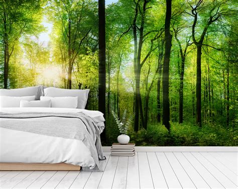 Nature Wallpaper, Trees, Forest, Landscape 3D Wallpaper – Home Decoram