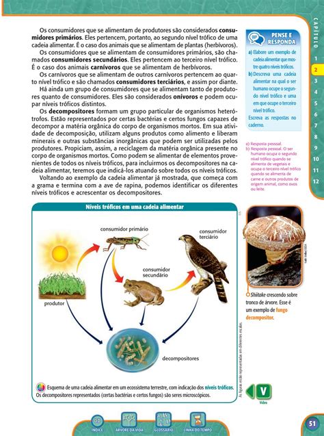 Um Exemplo De Decompositores Podem Ser Os V Rios Exemplos