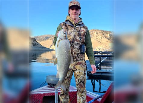 Walleye Fisherman Catches State-Record Lake Whitefish | Outdoor Life