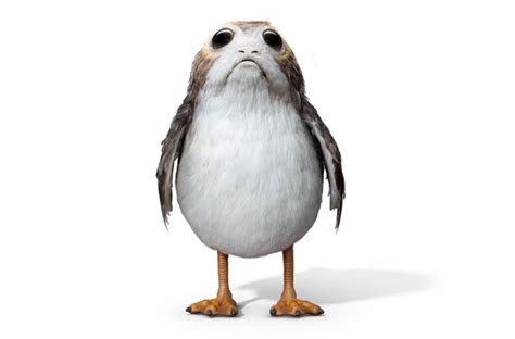 Porg | Star Wars Wiki | FANDOM powered by Wikia