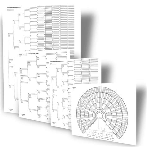 Buy Big Genealogy Charts Bundle With 10 Generation 8 Generation And 6