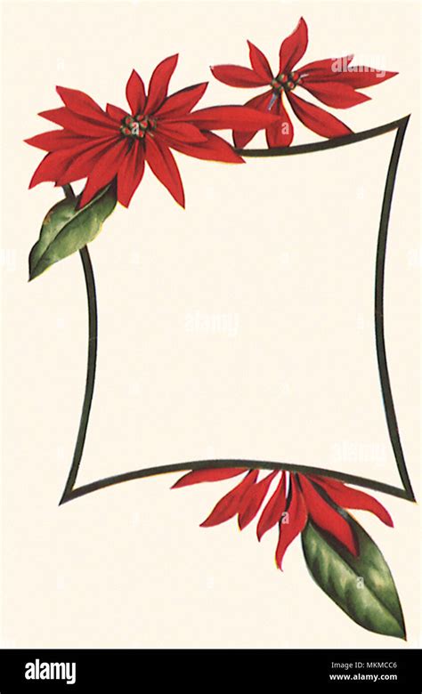 Poinsettia Border Stock Photo - Alamy