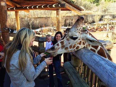 Guide to Colorado Springs: Cheyenne Mountain Zoo - Vivre Blog