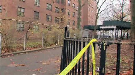 27 Year Old Woman Fatally Shot Outside Brooklyns Pink Houses