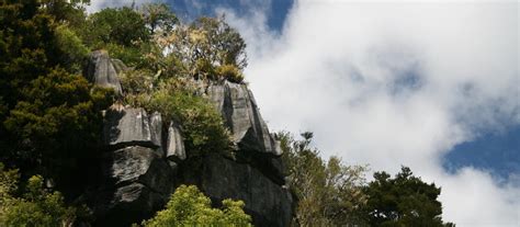 Kawiti Caves (Waiomio Caves) | Northland & Bay of Islands, New Zealand